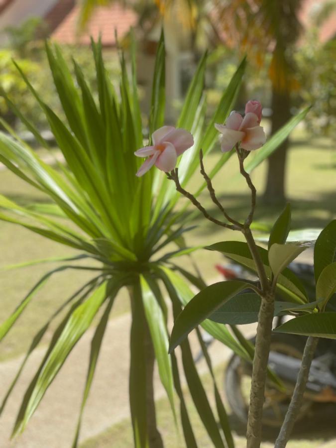 Paradis Villa A9, Koh Kho Khao Koh Kho Khao Island Kültér fotó